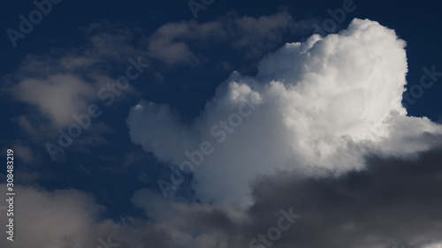 Cumulus mediocris  typique d un ciel de tra  ne