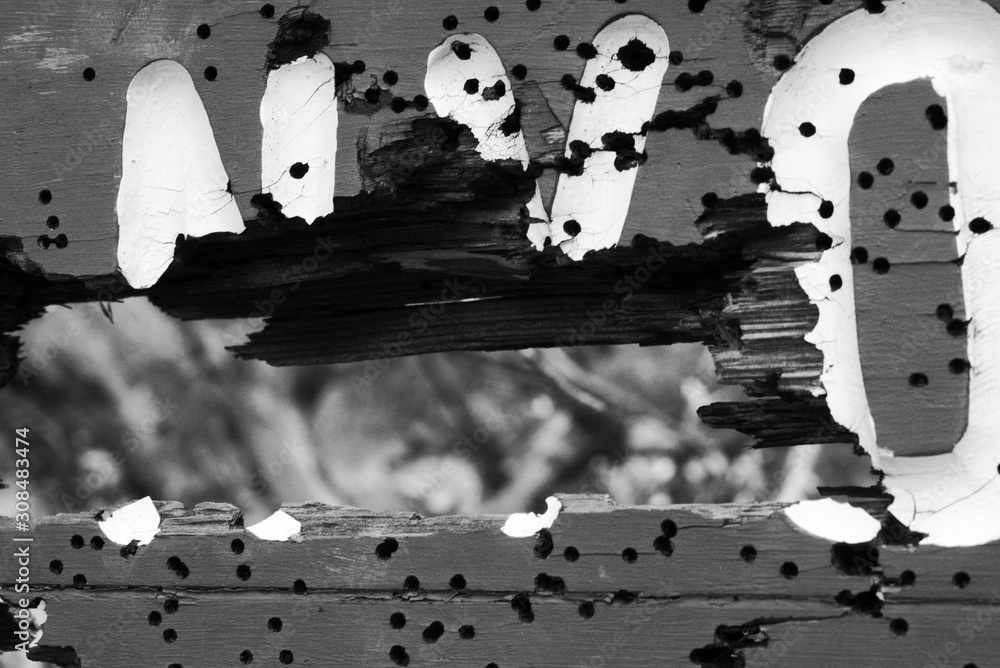 493 Shot Out Bullet Holes Texture Wood Stock Photo Adobe Stock