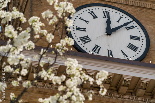 clock tower with flowers