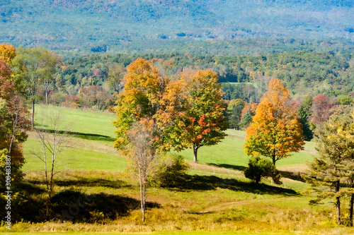 Fototapeta Naklejka Na Ścianę i Meble -  Fall foliage in Berkshire Hills, Massachusetts 