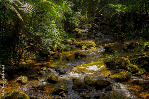 A river in Desengano State Park in the Mata Atlantica biome. Ecotourism is the main attraction of the northern region of Rio de Janeiro state  Brazil