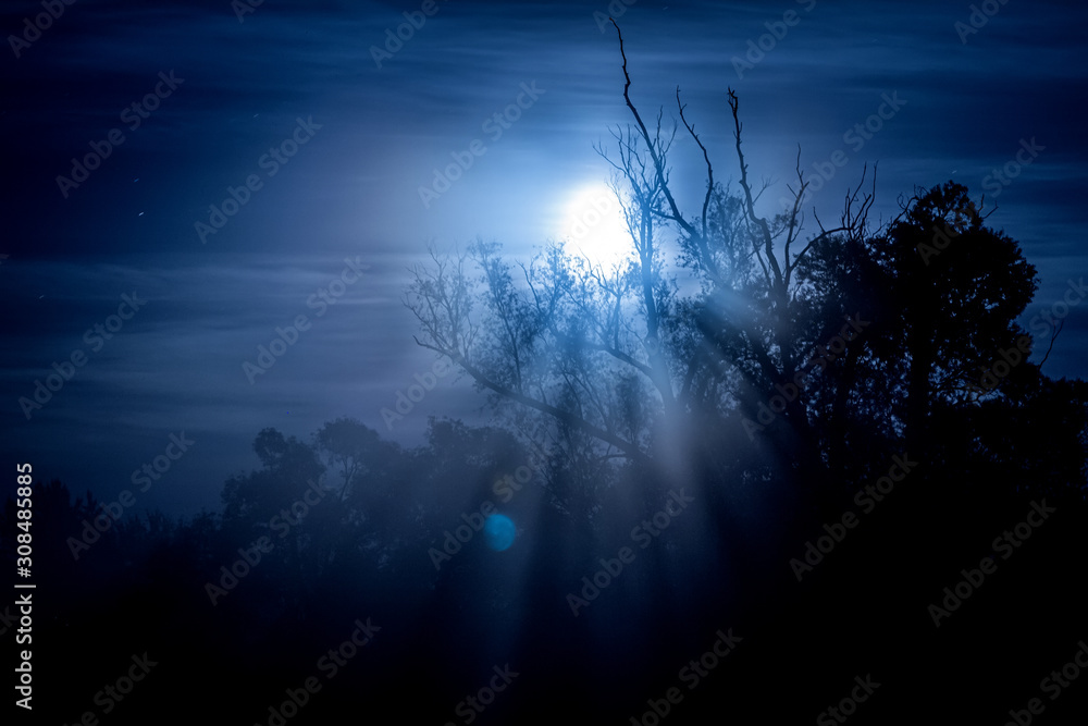 Night landscape and moonlight Night landscape and moonlight