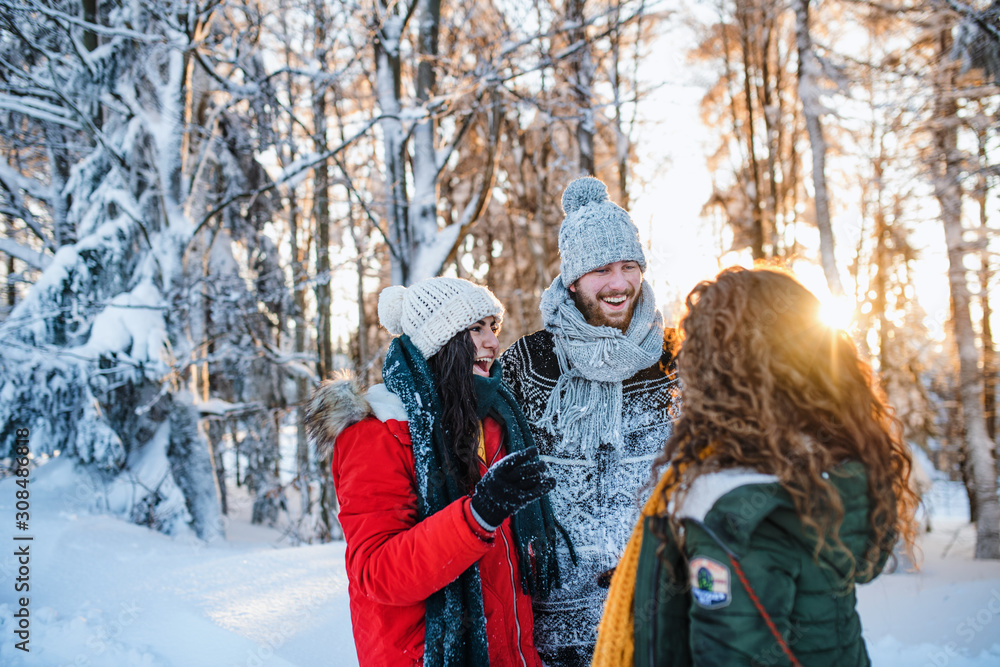 A group of cheerful young friends standing outdoors in snow in winter forest.