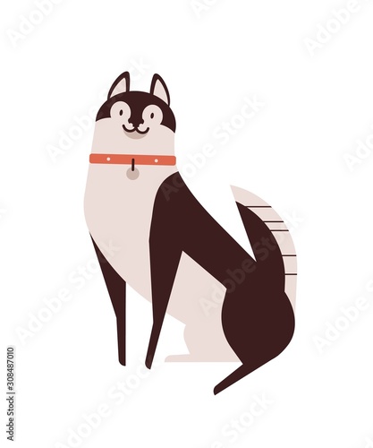 Husky dog flat vector illustration