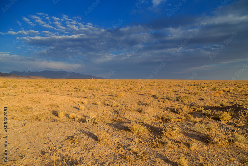 Desert under mountains