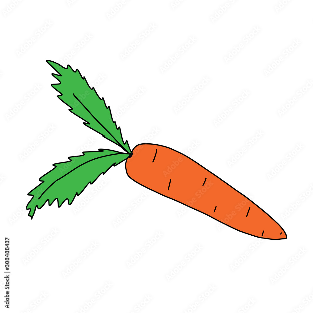 Carrot Carrot