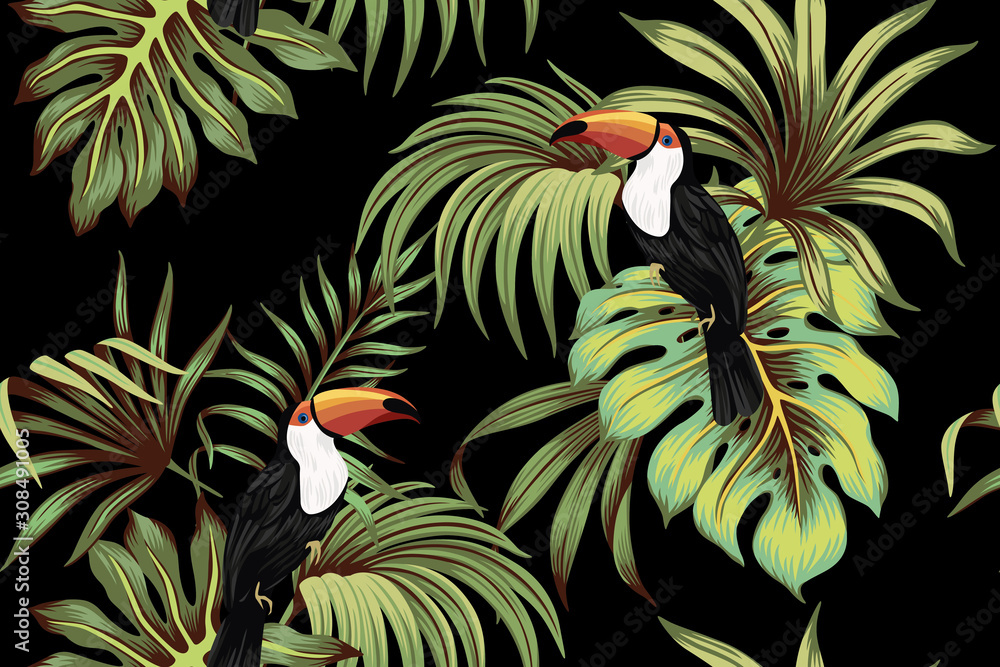 Toucan wallpapers wall murals  ColorayDecorcom
