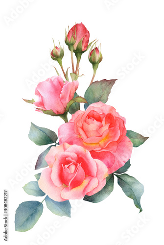 Hand drawn watercolor arrangement with picturesque pink rose flowers, rosebuds and leaves isolated on a white background. Floral botanical illustration for wedding invitations, greeting cards. © Tatiana
