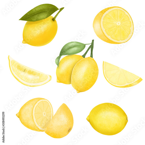 Set of hand drawn isolated lemons illustration on a white background