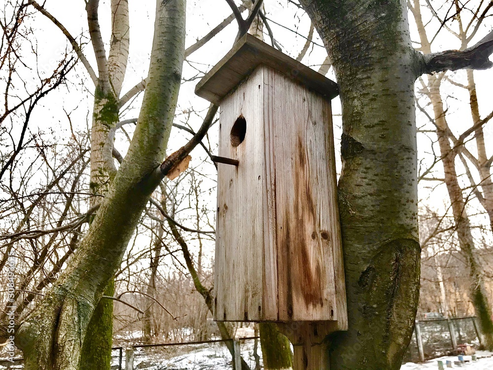 House for birds in the winter.