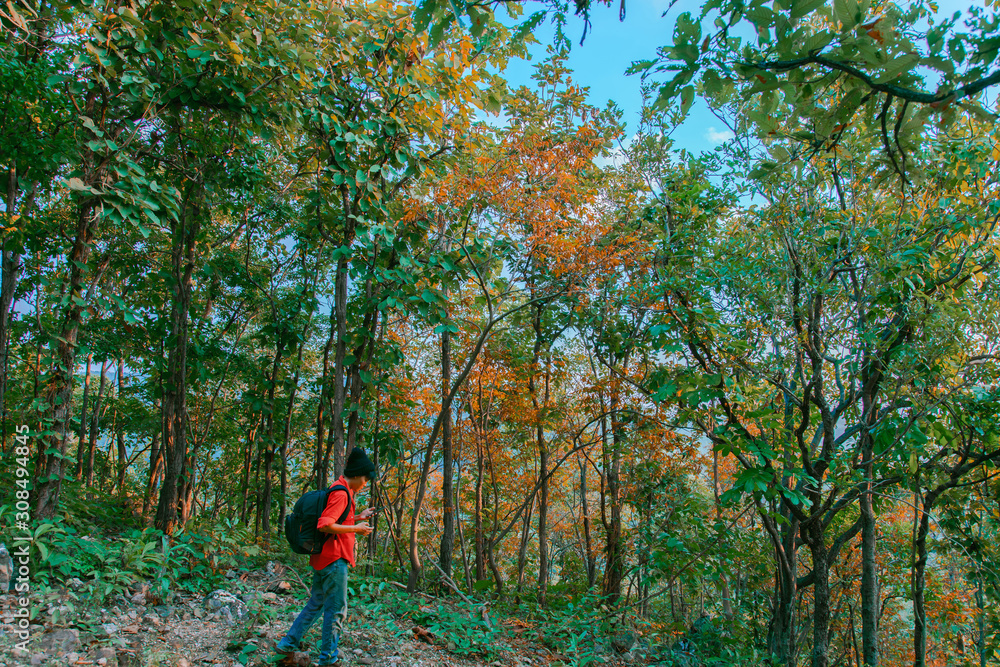 Asian young man standing use smartphone tourists on trekking through the forested countryside. Asian young man standing use smartphone tourists on trekking through the forested countryside.