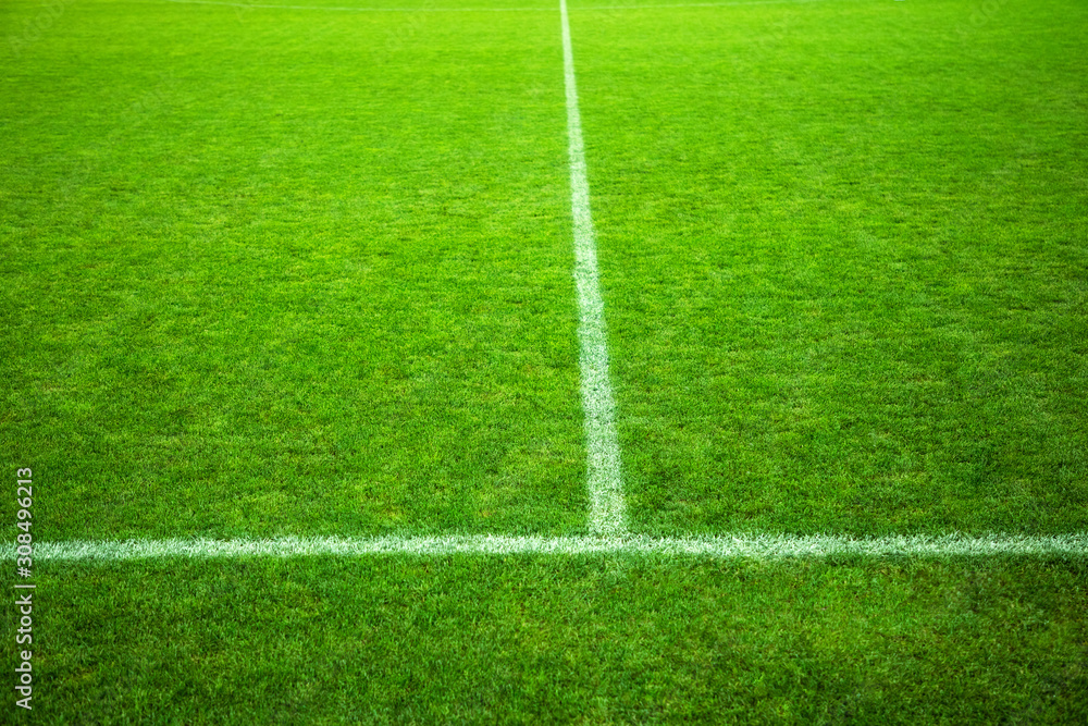 Stadium. Football field with marking. Soccer field covered with green grass. Field for a professional game, close-up. White line markings on the field.