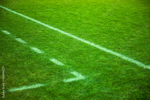 Stadium. Football field. Soccer field covered with green grass. Markings on the green field in the form of white lines, solid and dotted.