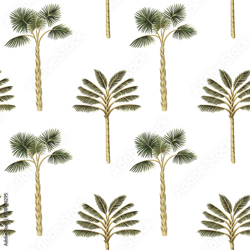 Tropical vintage botanical green palm tree floral seamless pattern white background. Exotic jungle wallpaper.