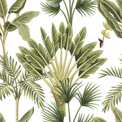 Wandcirkels Botanische print patronen Botanisch junglepatroon op witte achtergrond  © good_mood