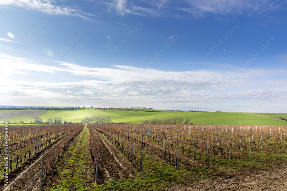 View of vineyards and farms in the Svatoborice region of Moravian Tuscany during a sunny autumn day in the background blue sky full of clouds and rugged wavy landscape full of green color. View of vineyards and farms in the Svatoborice region of Moravian Tuscany during a sunny autumn day in the background blue sky full of clouds and rugged wavy landscape full of green color.