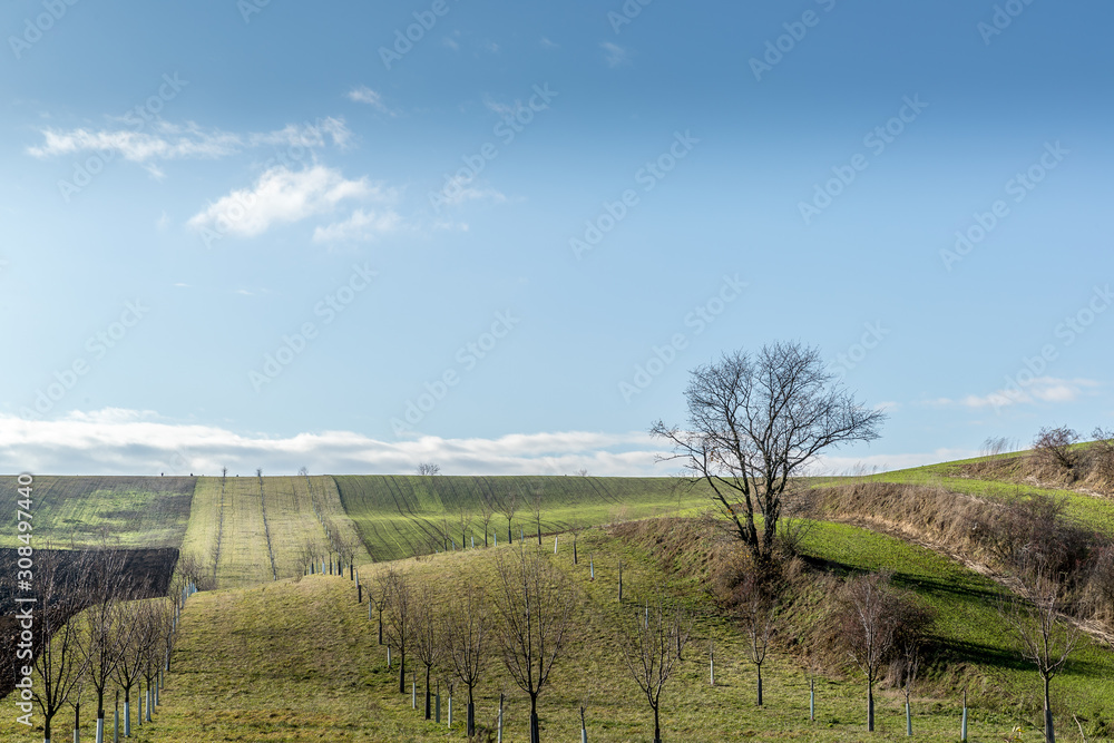 View of vineyards and farms in the Svatoborice region of Moravian Tuscany during a sunny autumn day in the background blue sky full of clouds and rugged wavy landscape full of lines.