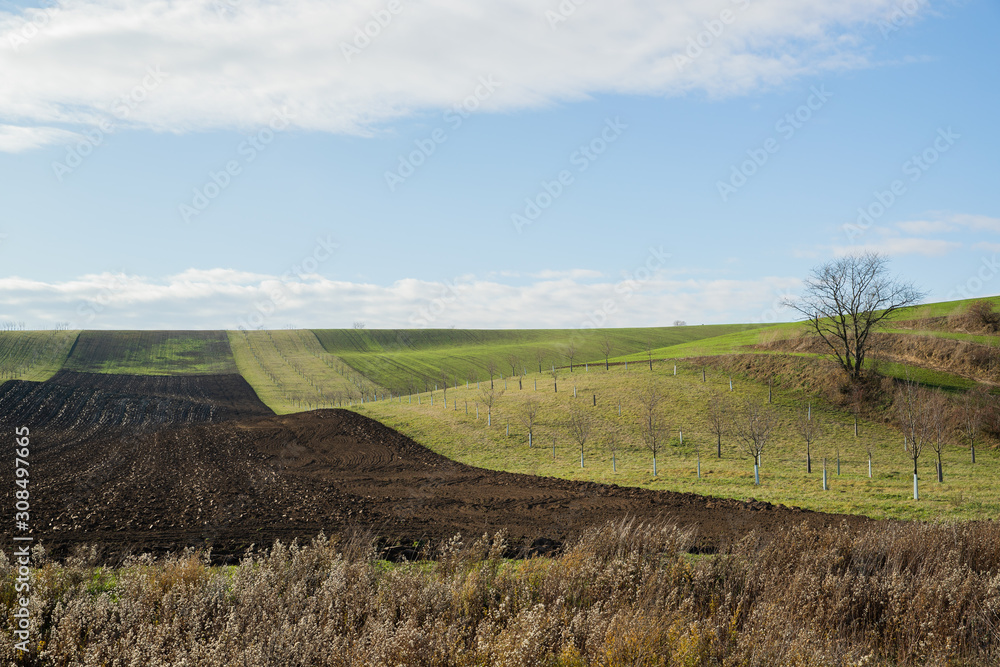 Fototapeta premium View of vineyards and farms in the Svatoborice region of Moravian Tuscany during a sunny autumn day in the background blue sky full of clouds and rugged wavy landscape full of lines.