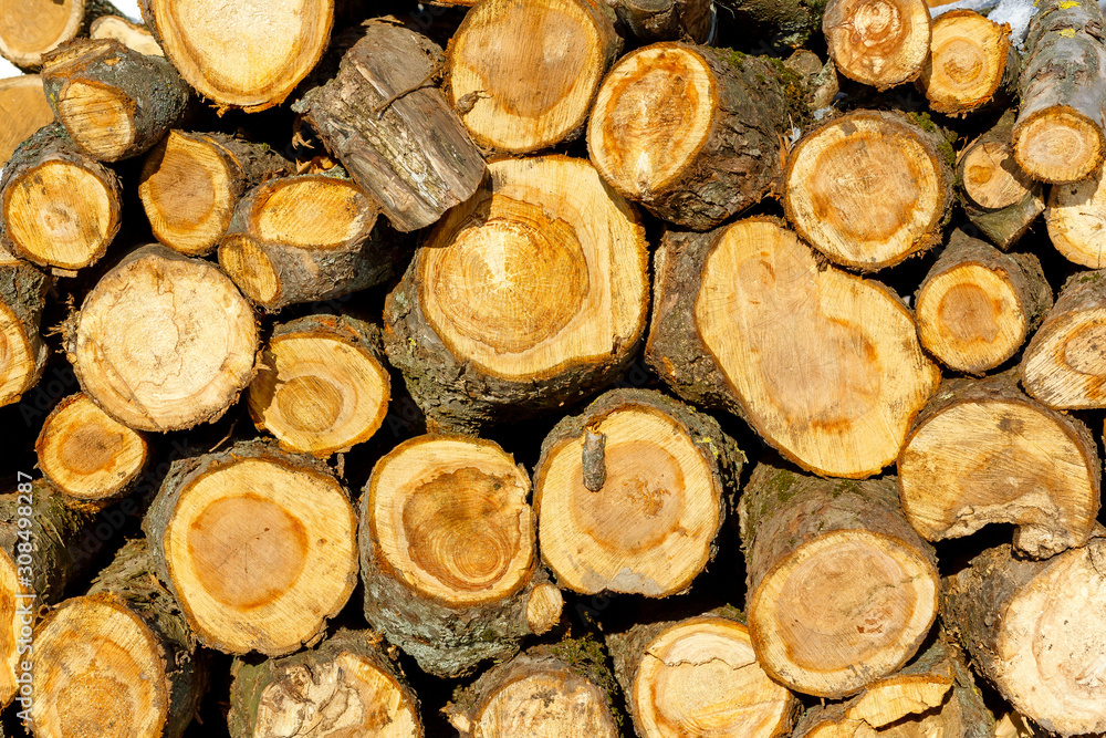 Stacked wood covered with snow. Background. A woodpile of dry fire woods in the winter. Stack of fire wood with snow. Winter fire wood provisions. Row of fire wood stock for winter. Winter. Stacked wood covered with snow. Background. A woodpile of dry fire woods in the winter. Stack of fire wood with snow. Winter fire wood provisions. Row of fire wood stock for winter. Winter.