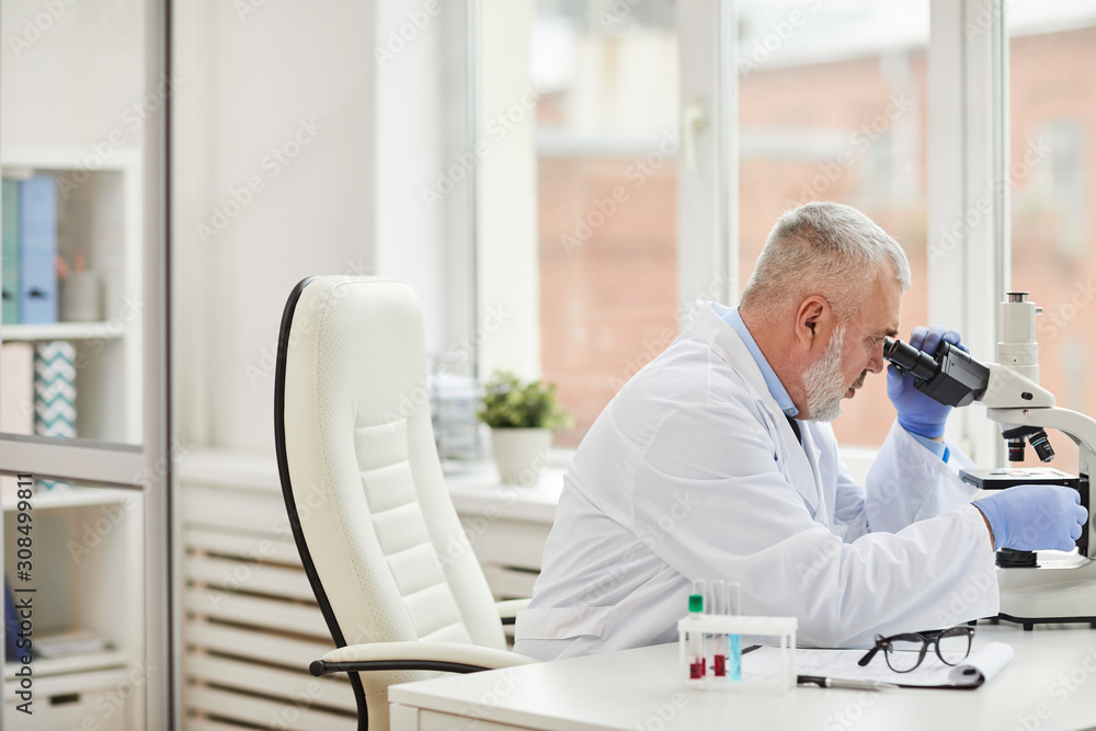 Mature medical specialist with grey hair sitting at the table and analyzing sample through the microscope at office