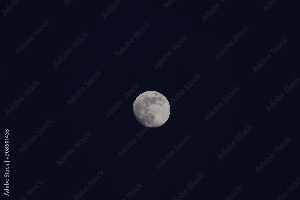 Fototapeta premium moon