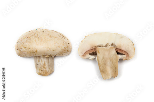 Slices of mushroom isolated on white background