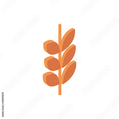 farm wheat harvest agriculture isometric icon