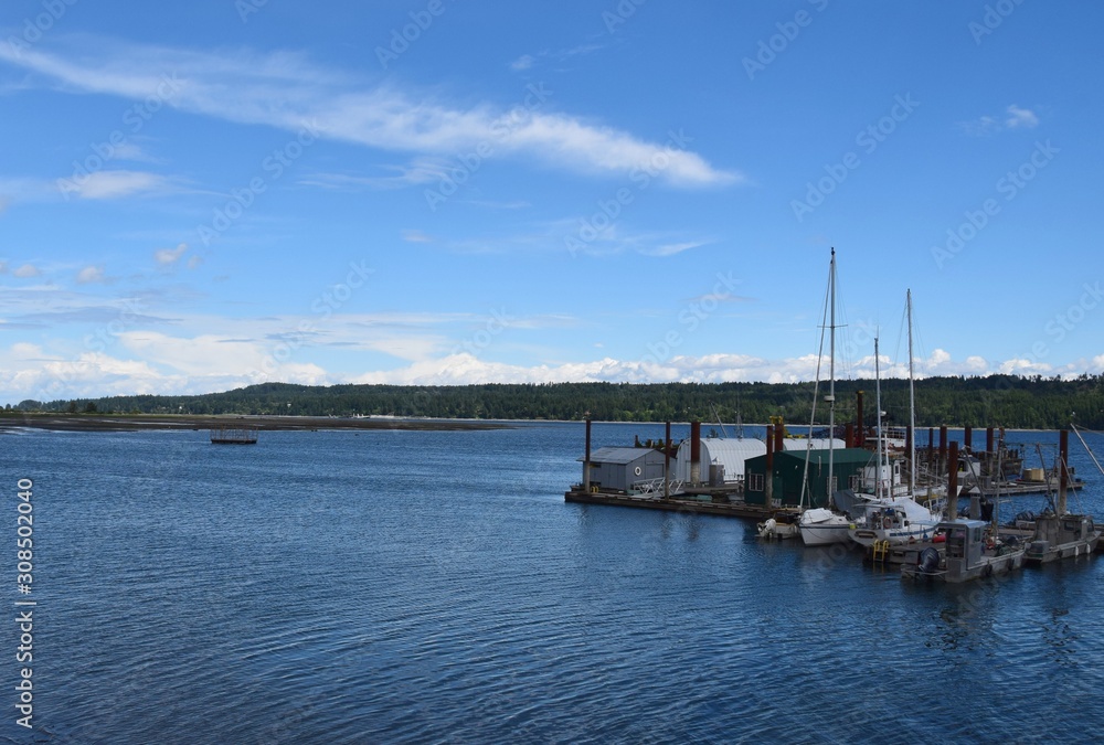 Fototapeta premium boats at the pier and wharf at Fanny Bay, Vancouver Island BC Canada