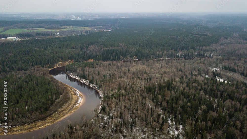 River in winter forest with green trees from above. Aerial drone image of river Gauja in Latvia