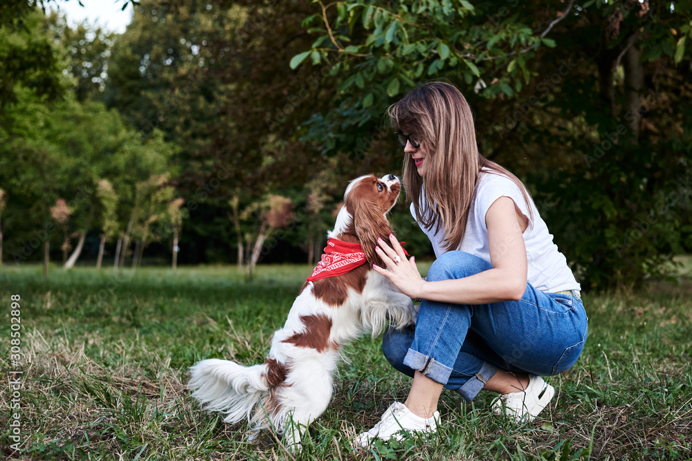 Young blond woman with Cavalier king charles spaniel, training in park in summer. Dog owner, wearing blue jeans and white t-shirt, playing with little dog.