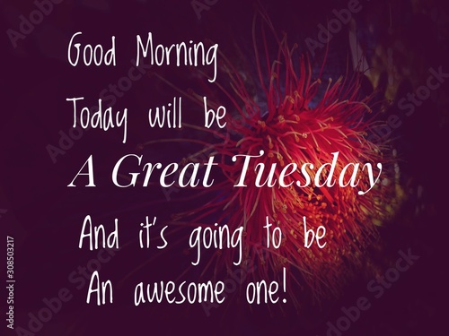 Image with wordings or quotes about tuesday  photo
