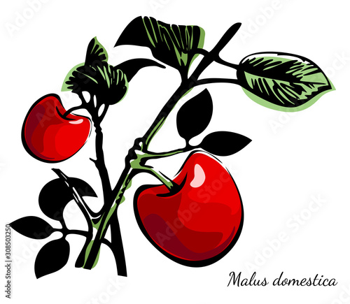 Couple of branches with red apples and leaves retro print style.