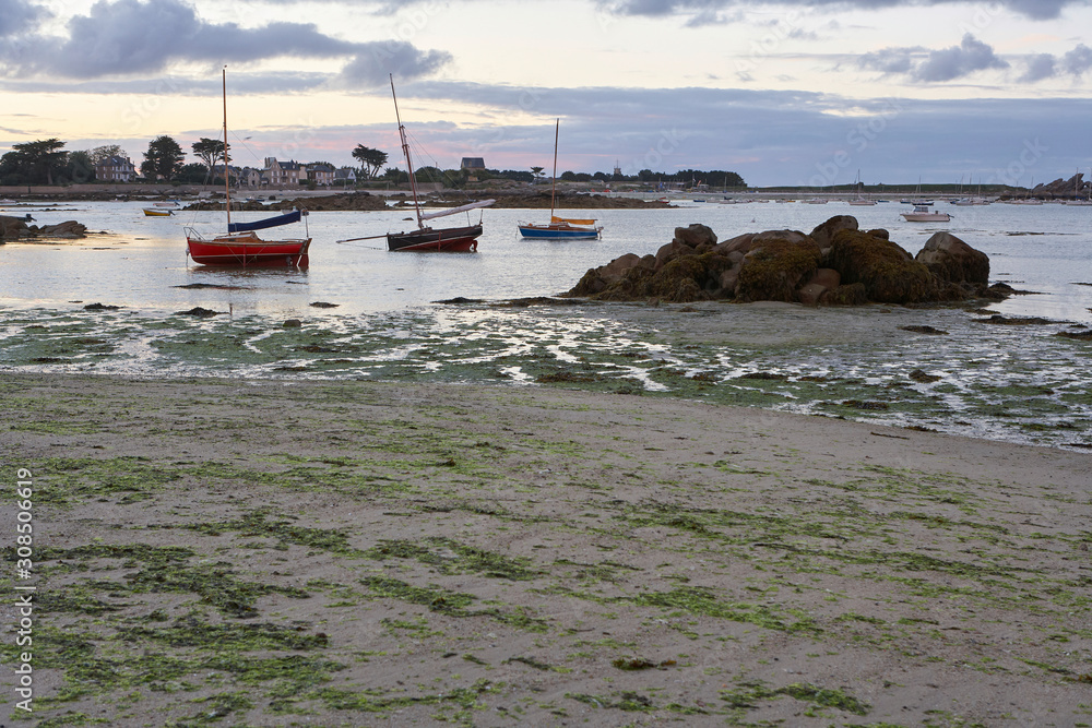 Romantic small harbour at low tide in idyllic evening mood,