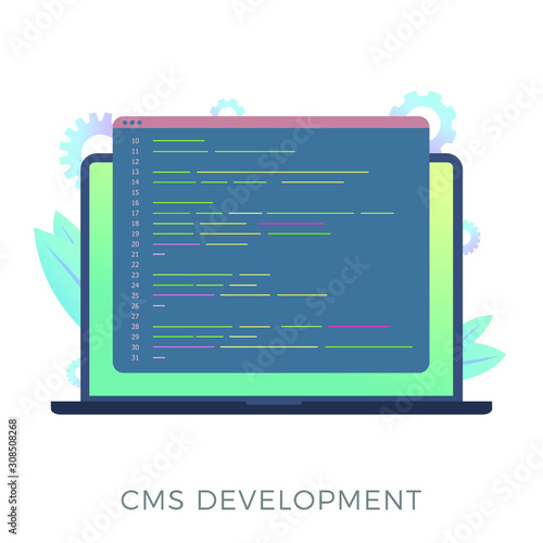 Website content management system (CMS) development flat vector icon. Programming and installation cms for website managing. Laptop with code window isolated on white background