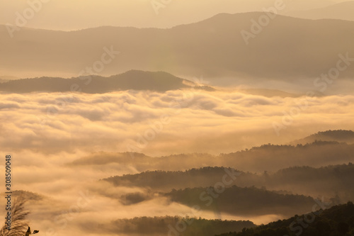 Fototapeta Naklejka Na Ścianę i Meble -  Beautiful fog coverage mountain valley and sunlight in the morning colorful,Sri Nan Park,Nan,Thailand