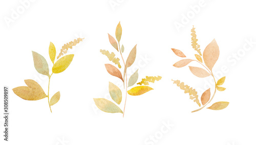 Pattern of watercolor autumn leaves, hand drawn illustration of floral elements isolated on white background. Floral Design elements.