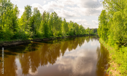 summer landscape with river  green trees on shore and clouds  beautiful glare