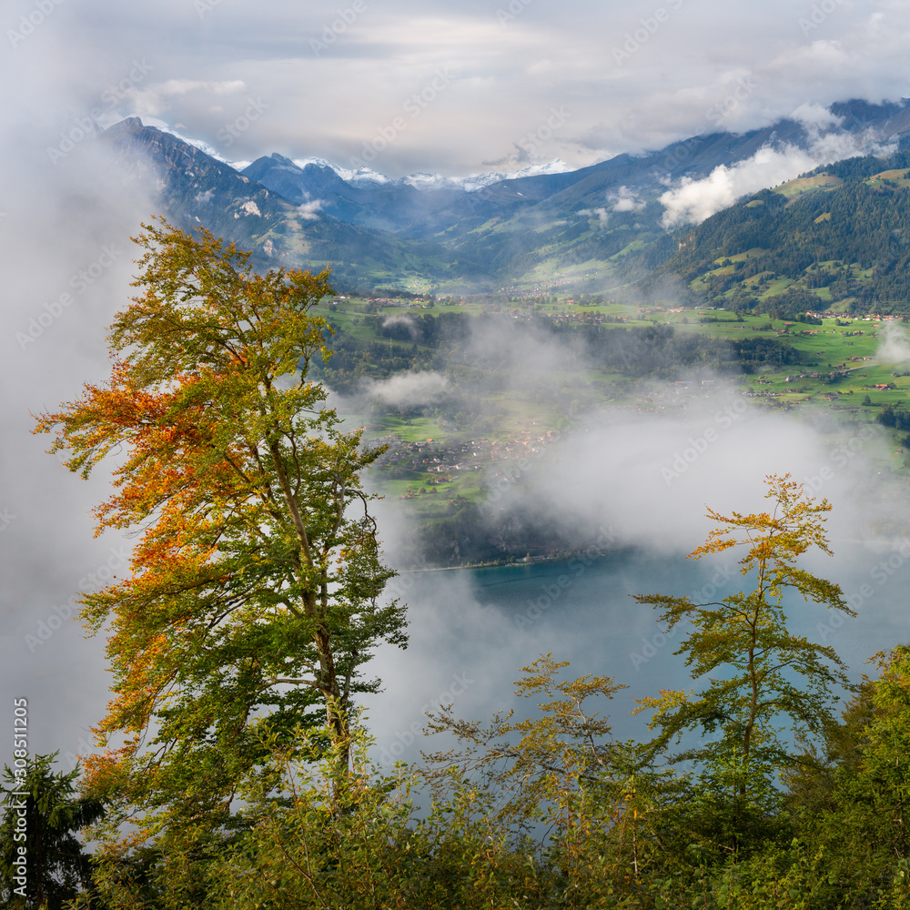 View of Lake Thun (Thunersee) from Beatenberg, Switzerland