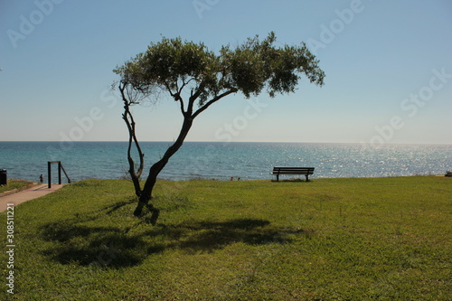 Plénitude zen