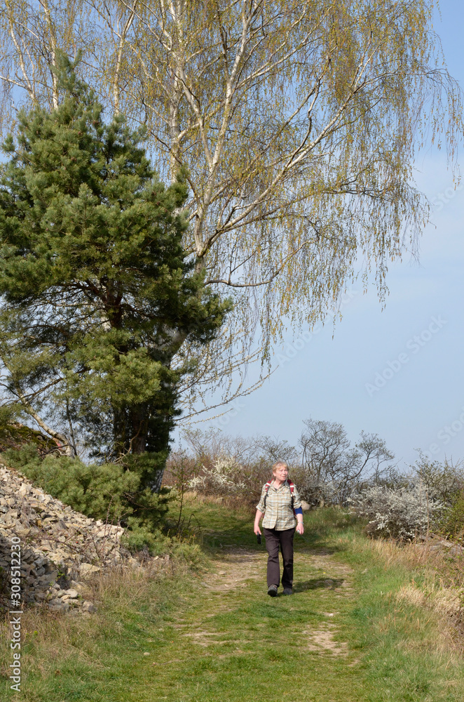 auf der bänkelchesroute bei Siefersheim in rheinhessen auf der bänkelchesroute bei Siefersheim in rheinhessen