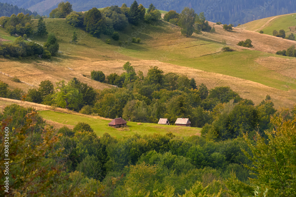 Sheds on pasture field in mountains