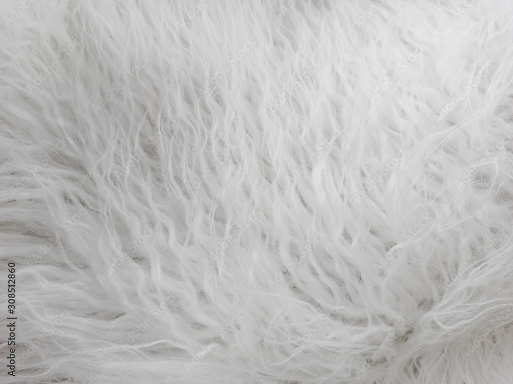 Natural white wool. Seamless texture of animal wool. Natural white wool. Seamless texture of animal wool.