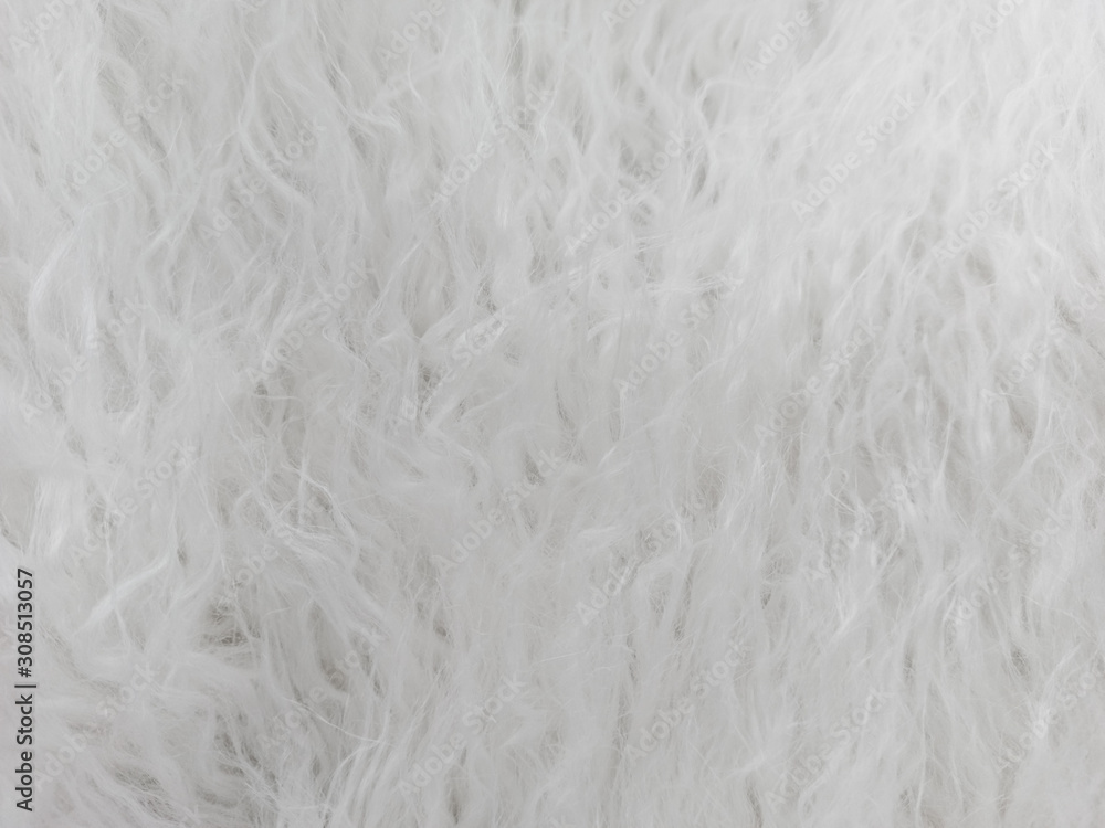 Natural white wool. Seamless texture of animal wool. Natural white wool. Seamless texture of animal wool.