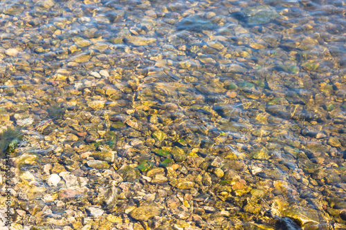 river bottom with a stone or pebble beach. mossy stones shining through a layer of river water on a bright sunny day