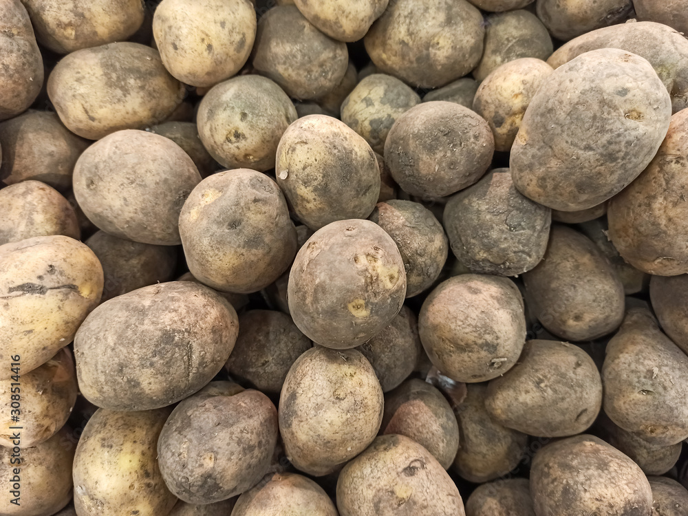 Potatoes on the counter. Potato texture. Background. Potatoes on the counter. Potato texture. Background.