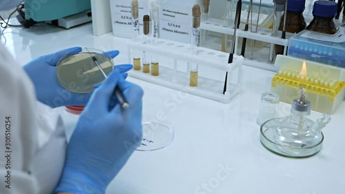 Glass alcohol burner burns on a table in a laboratory. Heated tubes and flasks. Fire and ampoule with medicine. Burner and human hands. Research laboratory.Bacteriological culture