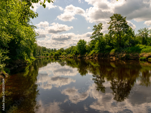 summer landscape with river  green trees on shore and clouds  beautiful glare