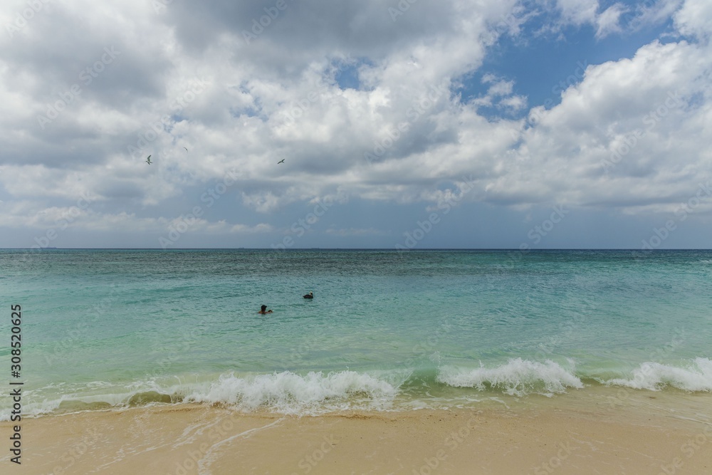 Amazing beauty Caribbean sea beach. Eagle beach Aruba island. Beautiful nature background.