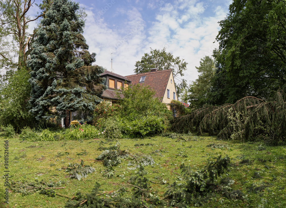 Storm damage in a garden of a family home Storm damage in a garden of a family home