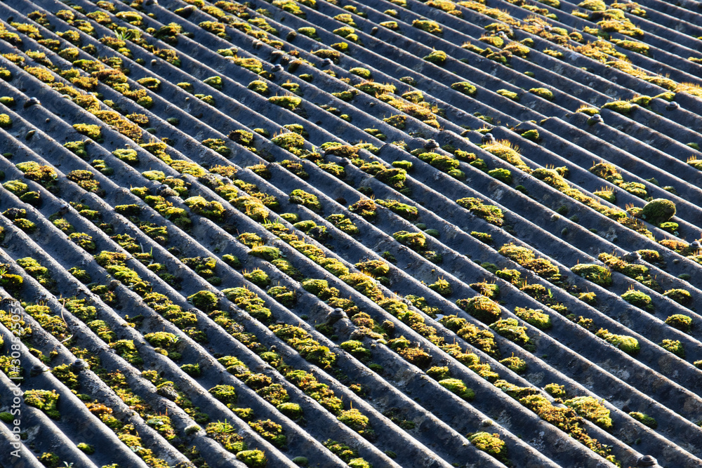 Obraz premium An asbestos garage roof with moss